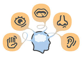 Observation through multiple senses